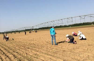 白泥井示范園區節水工程